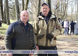 Новости
