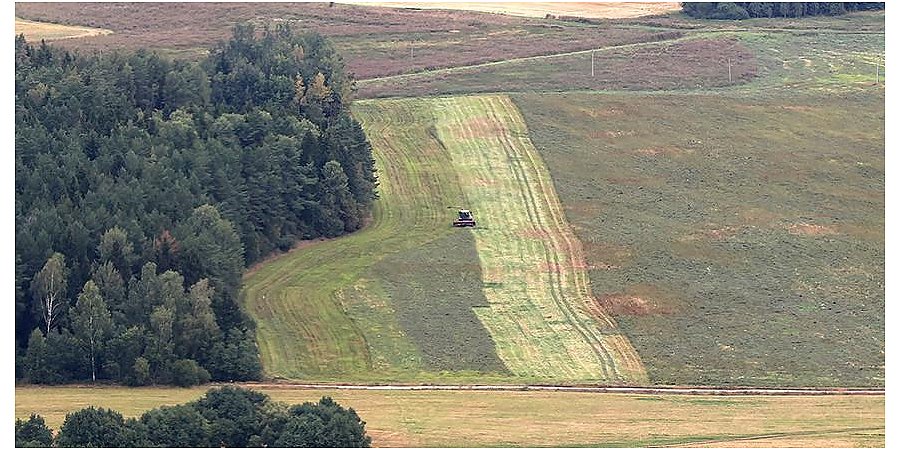 Зерновые, травы и картофель: в Минсельхозпроде рассказали о ситуации на полях
