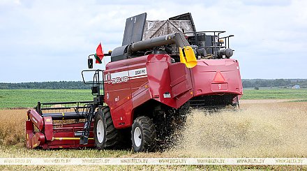 В Беларуси намолотили 7,6 млн тонн зерна