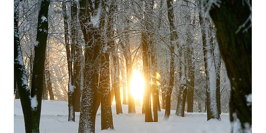 Плюсовые температуры днем? Какая погода будет сегодня в Беларуси videobel.by