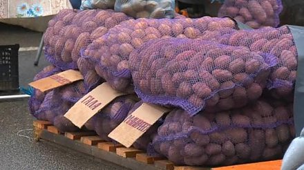 Выбираем картофель для зимнего хранения: советы специалиста