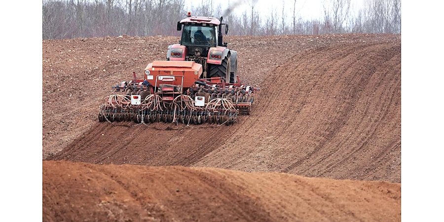 Каждый ответственен за результат: Эксперты — о дисциплине и качестве государственного управления