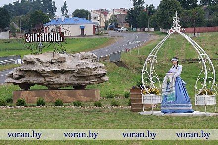 Межрайонный семинар-практикум по озеленению и благоустройству сельских населенных пунктов прошел в Вороновском районе