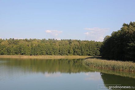 По лесной заповедной тропе. В Республиканском ландшафтном заказнике «Озеры» обновили экомаршрут