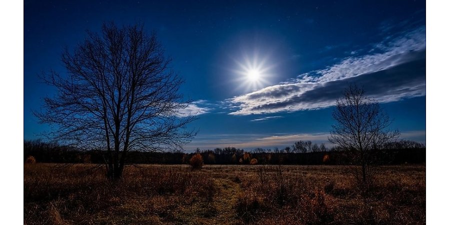 Лунный посевной календарь на апрель 2026 года: не упустите удачные дни