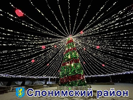 Елочка из Слонима – самая красивая на Гродненщине