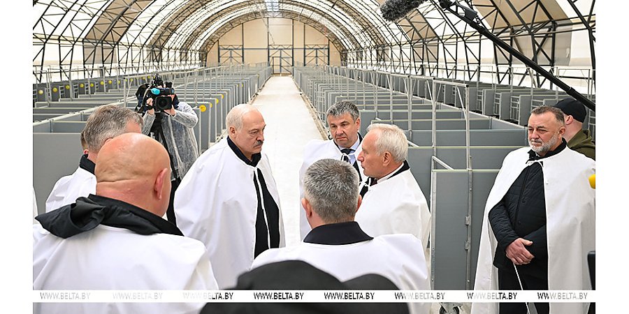 Чтобы было технологично, удобно, экономично. Александр Лукашенко назвал ключевой принцип при возведении МТК