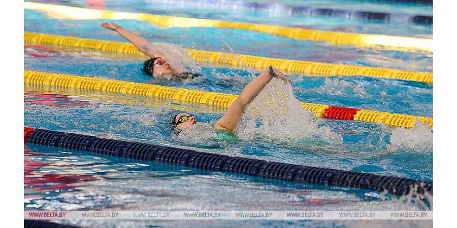 В Бресте стартовал открытый чемпионат Беларуси по плаванию