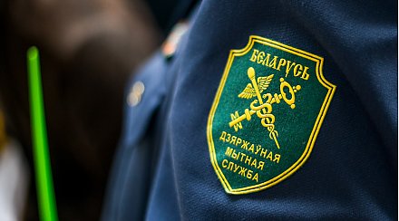 Гродненская региональная таможня разъясняет