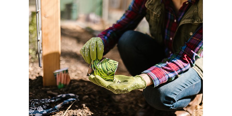 Как выбрать качественные семена: на что обратить внимание?