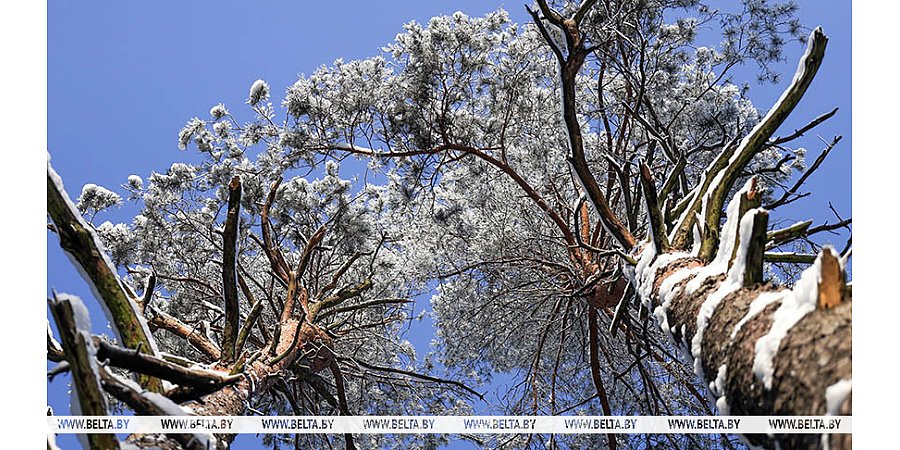 Метеозависимым приготовиться. Какие качели готовит погода на ближайшую неделю, рассказали синоптики