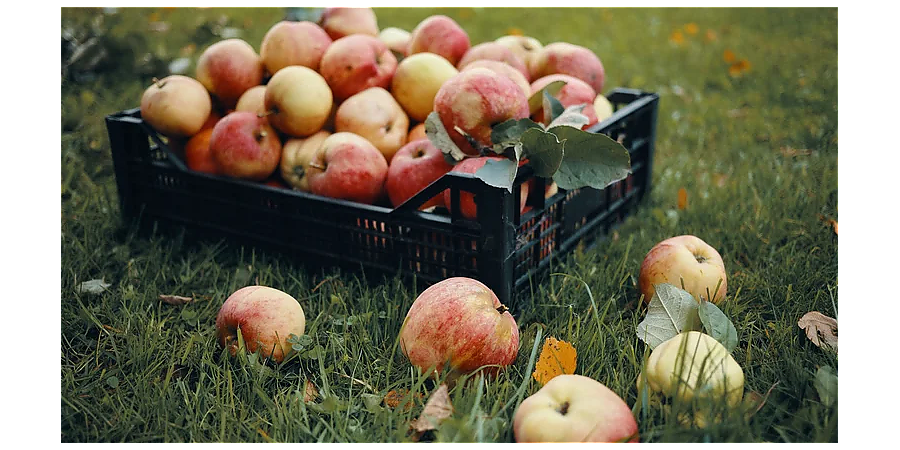 Народные приметы на 8 августа: что можно и нельзя делать в этот день