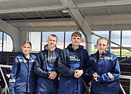 Новости