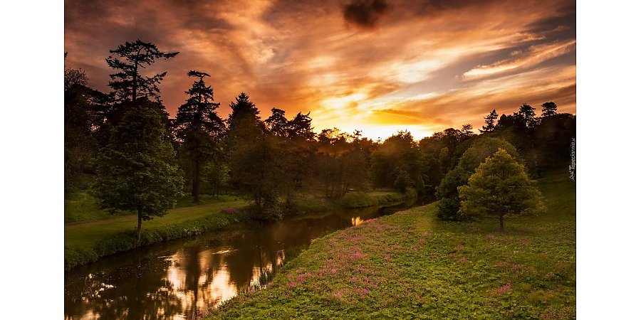 Народный календарь на 15 июля 2025 года: что можно и нельзя делать, приметы и праздники