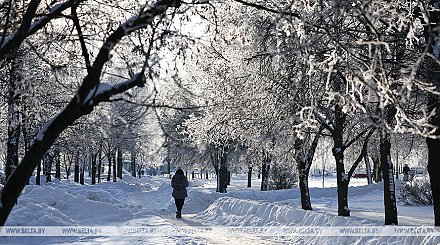 Морозы до -28°С ожидаются в Беларуси 17 января
