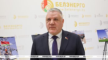 "Белэнерго": за год планируется реконструировать, модернизировать и построить 4 тыс. км распределительных сетей