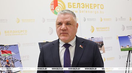 "Белэнерго": за год планируется реконструировать, модернизировать и построить 4 тыс. км распределительных сетей
