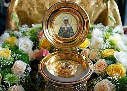 Новости
