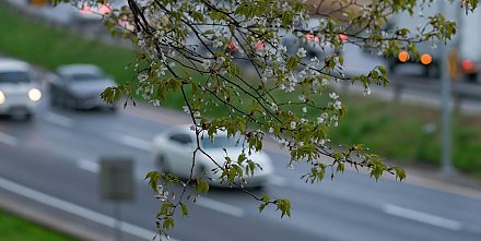 Жизнь не будет прежней: что изменится с 1 мая в Беларуси