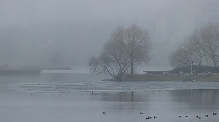 Чего ждать от погоды в Беларуси 26 февраля, сообщили синоптики