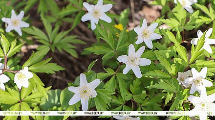 Какой будет погода на Пасху, рассказали синоптики