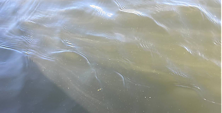 В Вороновском районе в водоеме утонула женщина