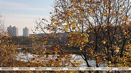 Облачно с прояснениями, до +17°С по юго-западу будет сегодня в Беларуси