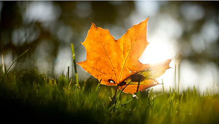 Какая каша поможет привлечь достаток в дом: приметы и суеверия на 22 октября 