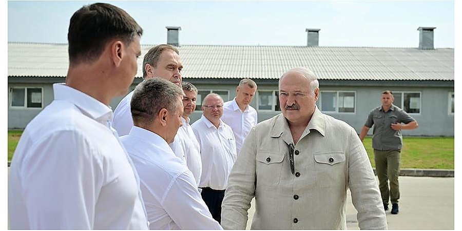"Почему не интенсифицировать процесс?" Александр Лукашенко поставил принципиальные вопросы в сфере козоводства