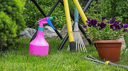 Лунный календарь садовода и огородника на июнь: к каким работам готовиться