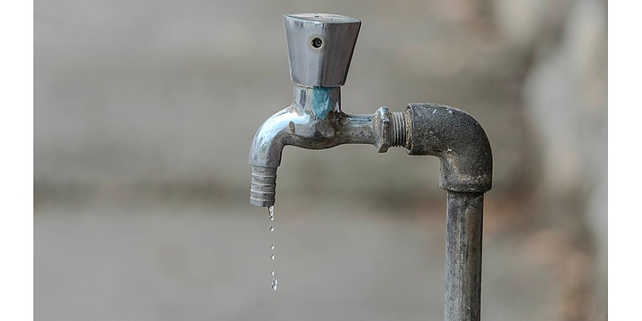 Польше грозит потеря продовольственной независимости из-за дефицита воды