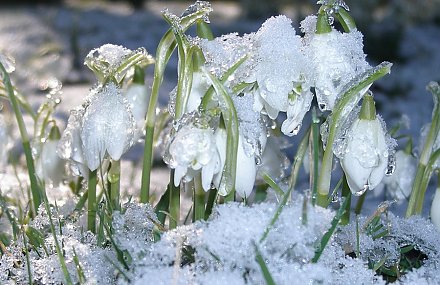 Перезимовали? Прогноз погоды на неделю 2-8 марта от Дмитрия Рябова