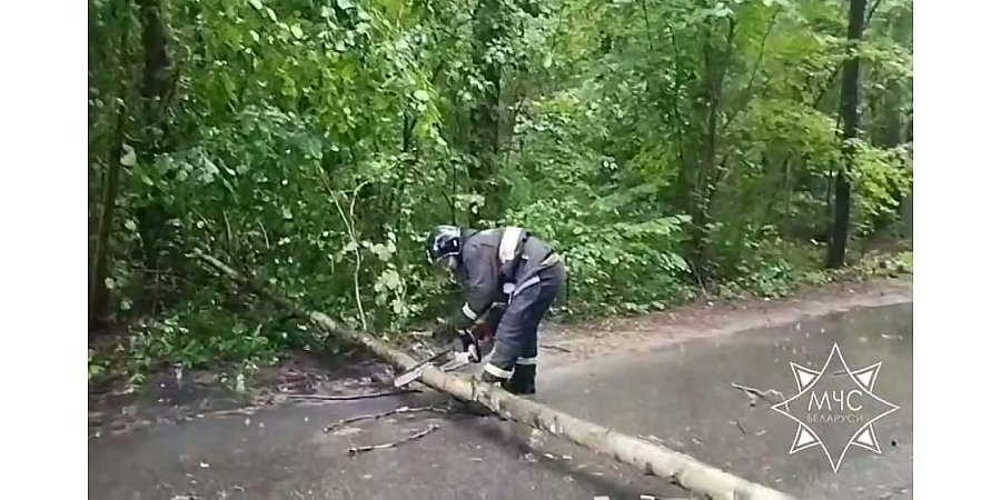 Подразделения МЧС ликвидировали последствия непогоды в Гродненской области