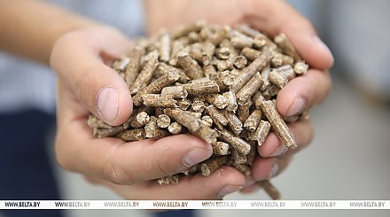 "Пеллеты и еще раз пеллеты!" Почему Лукашенко требует наладить производство древесного биотоплива