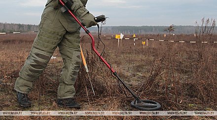 Польский эксперт заявил о вреде противопехотных мин на границе с Беларусью и Россией