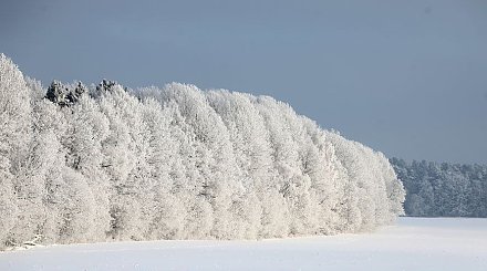 Премущественно без осадков и до -18°С будет сегодня в Беларуси