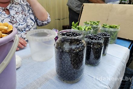 Картошка дешевеет, «золотая» черника и лисички на каждом шагу