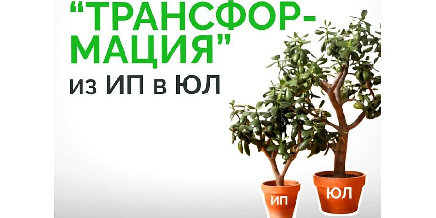 "Бесшовный" переход ИП в юридическое лицо