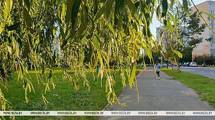 Жаркая и без осадков погода ожидается сегодня в Беларуси