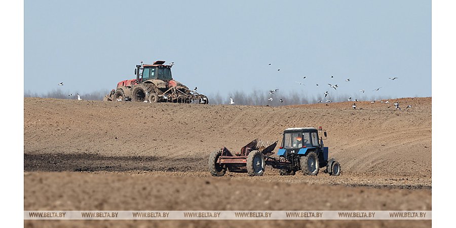 Сев ранних яровых в Беларуси завершили на более чем 90%