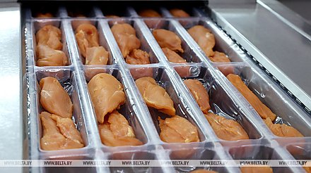 Минсельхозпрод распределит на 2026 год тарифные квоты на ввоз в Беларусь свинины и мяса птицы