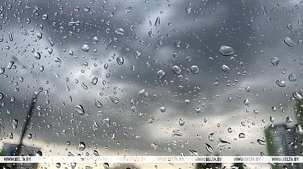 Дождливая погода с грозами ожидается сегодня в Беларуси