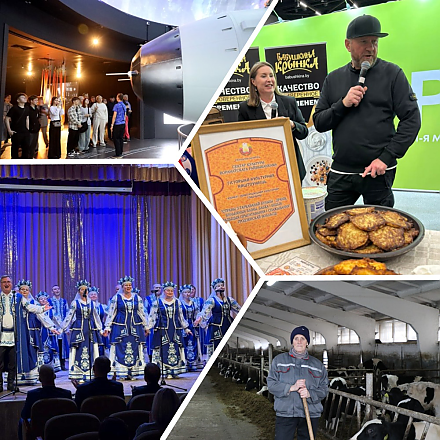 Республиканские соревнования по кикбоксингу в Щучине и исследование семян из космоса в Ивье. Интересные события региона