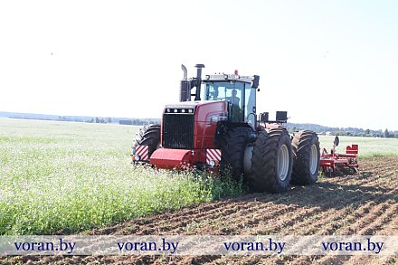 Сельхозпредприятия Вороновского района создают прочную кормовую базу и готовят задел под будущий урожай