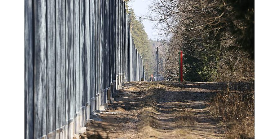 Быть или не быть забору в Беловежской пуще: смогут ли поляки достучаться до правящей партии на общенациональном референдуме, рассуждают эксперты