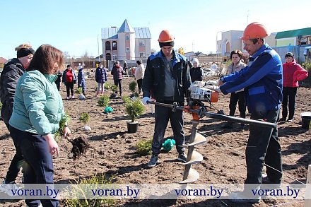 В Радуни на республиканском субботнике заложили аллею Памяти