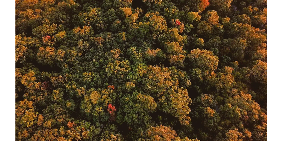 Ни в коем случае не делитесь планами: народные приметы на 26 октября 