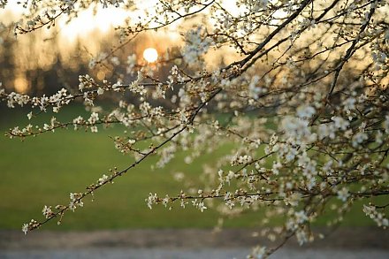 Переменчивое настроение у весны? Прогноз погоды на 23-29 марта от Дмитрия Рябова