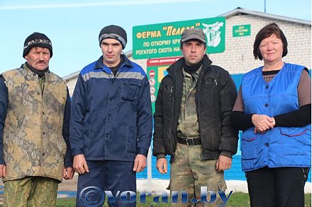 Коллектив  единомышленников