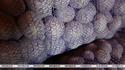 Как пожилые и инвалиды могут получить бесплатную доставку овощей, рассказали в Минтруда